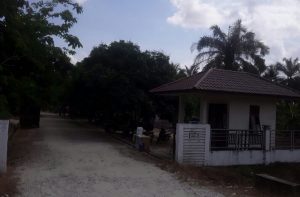 Pasar Pelalangan Hewan Manyak Payed Dibuka