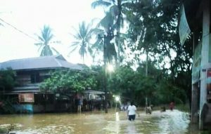 Bagian Hulu Aceh Tamiang Terendam Banjir