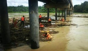Sampah Kayu Menumpuk di Bawah Jembatan Rantau