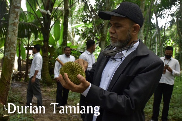 Durian Komoditi Andalan Tamiang