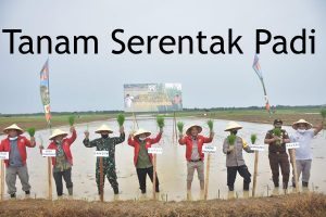 Sektor Pertanian Berperan Penting bagi Perekonomian Nasional