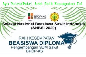 Ayo… Raih Beasiswa Sawit 2020