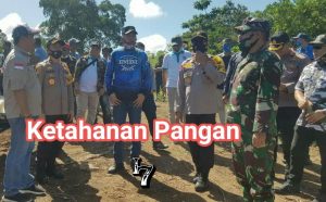 100 Ha Lahan Kosong di Blang Bintang Dijadikan Kebun Masyarakat