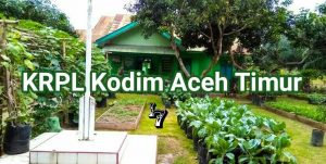Kodim Aceh Timur Galakkan Gerakan KRPL