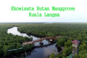 Ayudhia Management Menangkan Tender Pengelolaan Ekowisata Manggrove