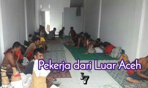 293 Pekerja Luar Aceh Serbu Aceh Tamiang dan Langsa