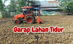 Polsek Krueng Barona Jaya Sulap Lahan Tidur jadi Kebun Jagung
