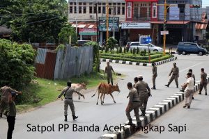 SatpolPP Banda Aceh Bentuk Timsus Tangkap Ternak