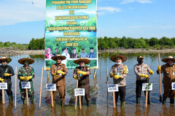 Kejari Aceh Timur Tanam 2.000 Bibit Mangrove