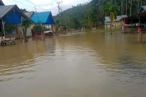 Banjir Rendam Lima Kecamatan di Konawe Utara