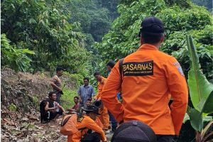 Penebang Pohon yang Hilang di Hutan Lawe Tua
