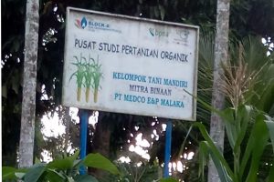 CSR PT Medco Proyek Mubazir