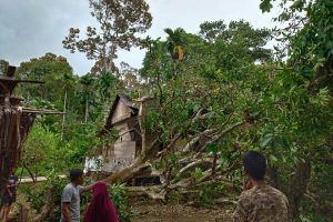 Satu Orang Meninggal, Dunia 6 Nelayan Hilang Akibat Angin Kecang di Aceh Selatan