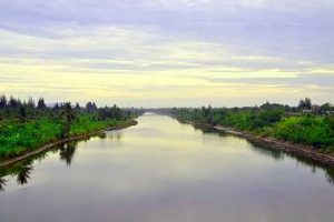 Pembongkaran Kadang Sapi tanpa Solusi, Sama Saja Pemerintah Akui Kegagalannya