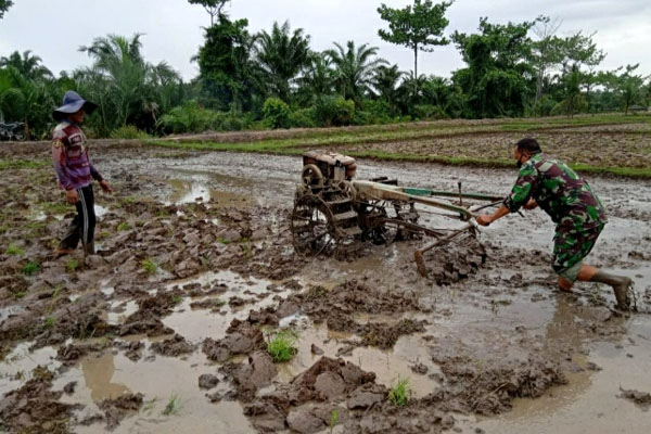 Meski Pandemi, Babinsa Ini Tetap Bantu Petani