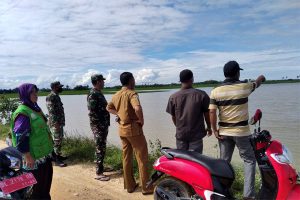 Curah Hujan Tinggi, Muspika Pantau Sawah Terendam Banjir