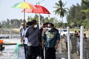 KKP Survei Shirmp Estate di Aceh Timur