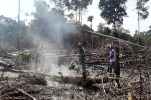 Dua Hektare Lahan Kering Terbakar di Aceh Timur