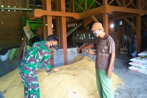 Jelang Ramadan, Stok Beras di Madat Mencukupi