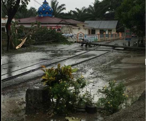 Hujan dan Angin Rubuhkan Pohon dan Tiang Listrik di Langsa