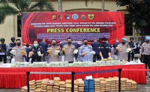 13 Pria Bersama 50 Kg dan 194 Kg Ganja Diringkus
