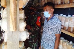 Bubhan Maula, Pembudidaya Jamur Merang di Bukit Merak