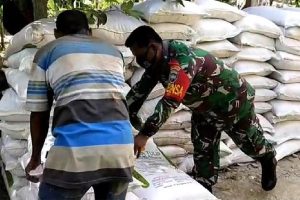 Babinsa Kawal Pendistribusian Pupuk Bersubsidi