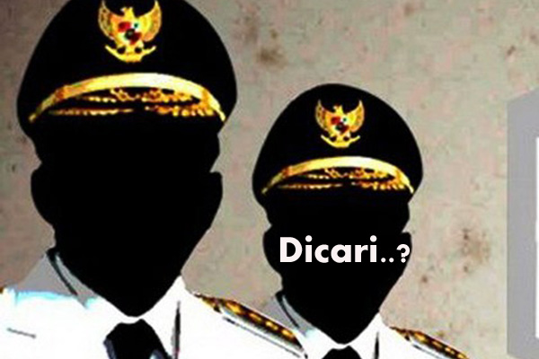 Misteri Kosongnya Wakil Gubernur dan Wakil Bupati Bireuen