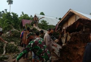 Angin Kencang Tumbangkan Pohon dan Timpa Rumah