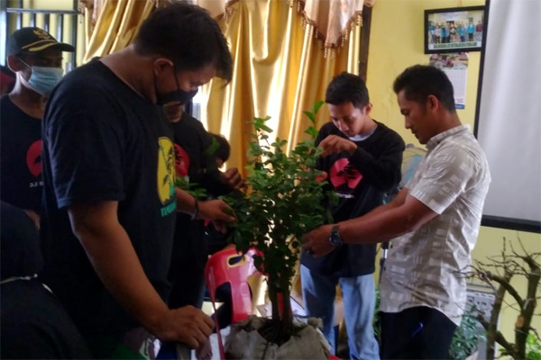 Warga Bandung Jaya Dilatih Budi Daya Bonsai