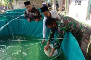 Budidaya Ikan Lele di Langsa Timur