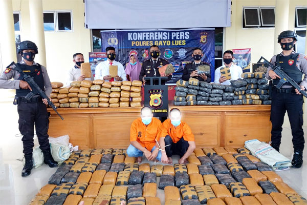 Dua Kakak Beradik Diciduk Hendak Seludupkan Ganja 195 Kg dari Gayo Lues ke Medan