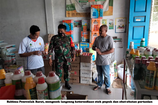 Babinsa Peureulak Barat Pantau Persediaan Pupuk