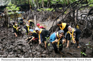 Seribu Mangrove Ditanam di Mangrove Forest Park