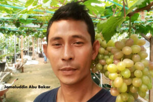 Jamaluddin Alue Sijuek Sukses Kembangkan Anggur