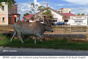 Mutasi Diakhir Masa Jabatan Merebak di Singkil