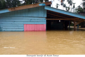 Banjir, Penyakit Klasik yang Jadi ‘Mesin Perusak’ di Aceh