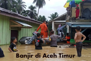 Banjir Aceh Timur, Pemerintah Tetapkan Status Darurat