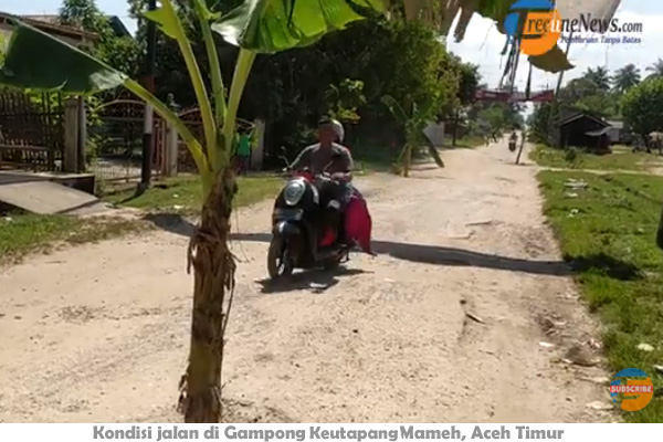 Video Protes Terhadap Pemerintah Aceh Timur, Warga Tanam Pisang di Jalan