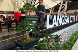Opening Langsa City Walk Diwarnai Pameran Bonsai