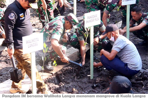 Pangdam IM Minta Daerah Lain Contoh Mangrove Kota Langsa