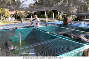 Peduli UMKM, Babinsa Motivasi Pelaku Usaha