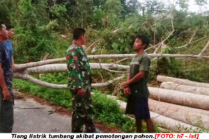 Akibat Tebang Pohon, Tiang Listrik Tumbang