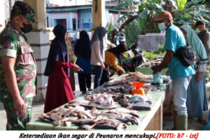 Persediaan Ikan Laut di Peunaron Cukup