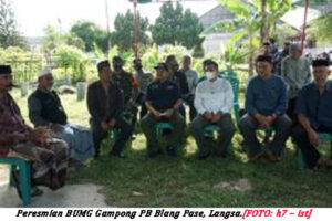 Ternak Puyuh BUMG PB Blang Paseh Langsa