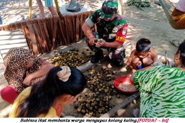 aceh timur_kolang kaling