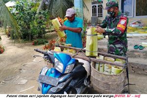 Timun Suri, Primadona Masyarakat Saat Ramadhan