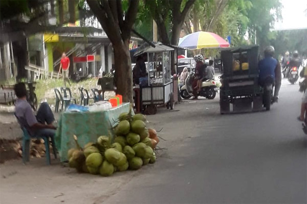 pedagang kelapa