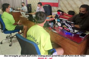 Harimau Terkam Dua Pemuda Aceh Timur Main Judi