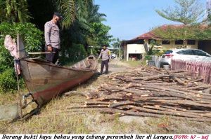 Warga Tangkap Perambah Hutan Bakau